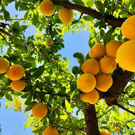 Casa Martins Country 3 - Private Parking & Wifi Apartment