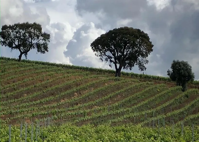 Casa Martins Country 3 - Private Parking & Wifi Appartement