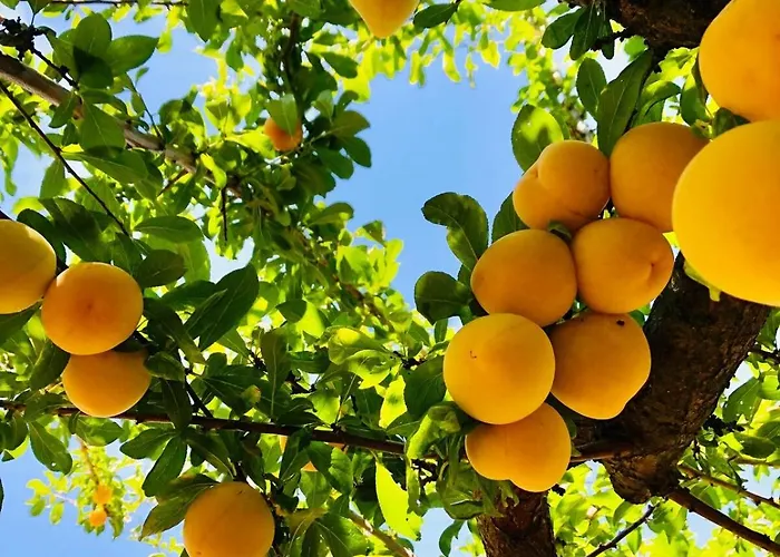 Casa Martins Country 3 - Private Parking & Wifi Appartement